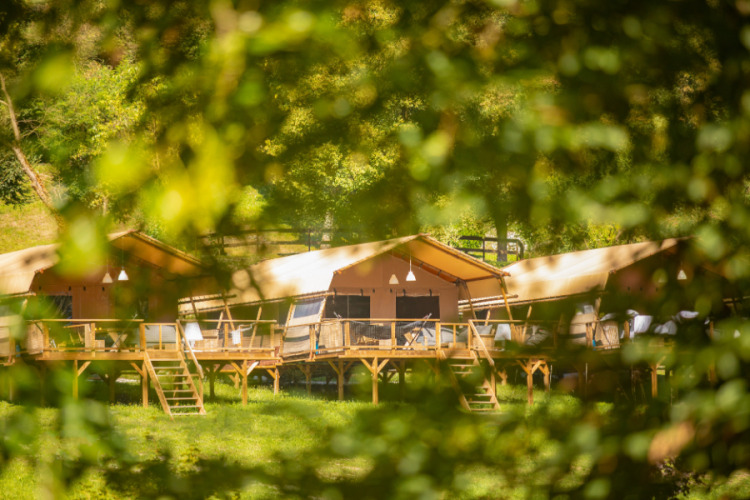 Safari-Zelte im Desert Lodge XL auf dem Campingplatz Gajole in Italien, durch grüne Blätter gesehen.