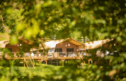 Safari tents at Desert Lodge XL at Camping Gajole in Italy, viewed through lush summer green trees.