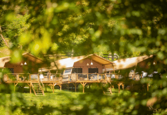 Safari tents at Desert Lodge XL at Camping Gajole in Italy, viewed through lush summer green trees.