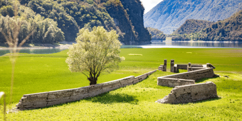 Old ruins and a lone tree on a green meadow by the lake at Camping Gajole holiday park in Veneto, Italy.