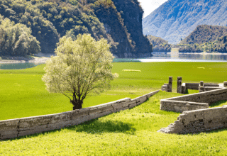 Rovine antiche e un albero su un prato verde presso il lago al Camping Gajole in Veneto, Italia.
