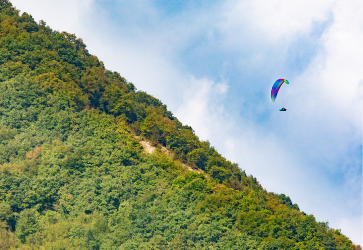 Ein bunter Paraglider schwebt über einem bewaldeten Hügel in Venetien, Italien, unter blauem Himmel.