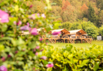 Safari-Zelte Desert Lodge XL auf Camping Gajole in Italien mit Blumen und grünen Hügeln im Vordergrund.