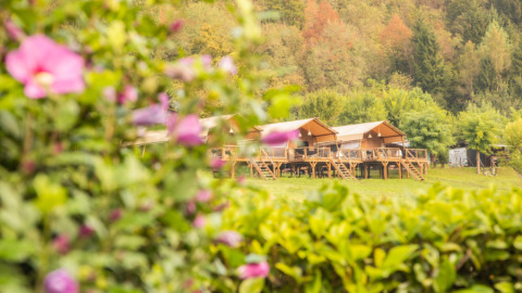 Tende safari Desert Lodge XL al Camping Gajole in Italia, con fiori e vegetazione rigogliosa in primo piano.