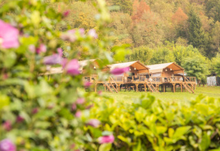 Vistas de tiendas tipo safari Desert Lodge XL en Camping Gajole, Italia, con flores y colinas verdes.