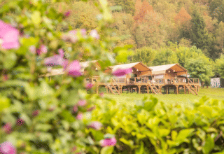 Uitzicht op safaritenten Desert Lodge XL bij Camping Gajole in Italië, met bloemen en groen op de voorgrond.