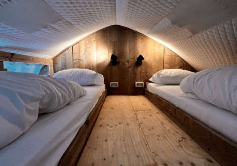 Interieur van de Big Oak Lodge safaritent met twee aparte bedden, houten panelen en een gewatteerd dak.