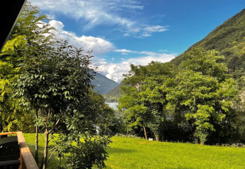 Aussicht vom Safari-Zelt Big Oak Lodge mit grüner Wiese, Bäumen und Bergen unter blauem Himmel.