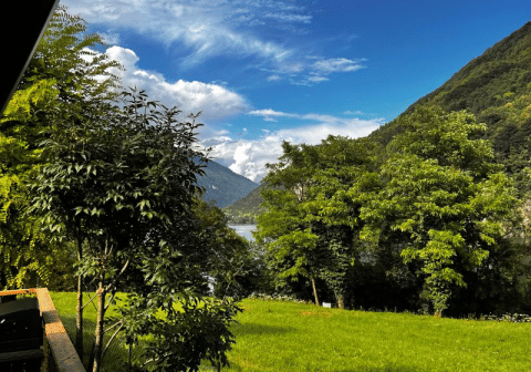 Vue depuis la tente safari Big Oak Lodge avec pelouse verte, arbres luxuriants et montagnes sous ciel bleu.