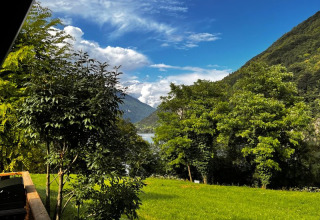 View from Big Oak Lodge safari tent with green lawn, lush trees, and mountain backdrop under blue sky.