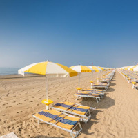 Filas de tumbonas y sombrillas amarillas vacías en una playa soleada junto al mar, bajo un cielo azul claro.