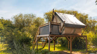Tienda safari elevada en una plataforma de madera rodeada de naturaleza verde, tomada de día.