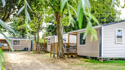 Mobilhome Loggia al Camping Belle-Vue 2000 in Lussemburgo, bungalow immersi nella natura tra alberi ombrosi.