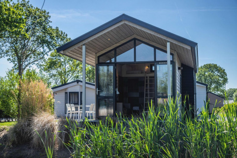 Moderne Tiny House-lodge met grote ramen, terrasstoelen en omringd door groene, natuurlijke begroeiing.