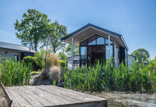 Moderne Tiny House-Lodge am Wasser in De Rijp, Niederlande, umgeben von Natur und blauem Himmel.