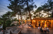 Udendørs spiseområde ved Huttopia Arcachon feriepark i Nouvelle-Aquitaine, Frankrig, omgivet af fyrretræer.