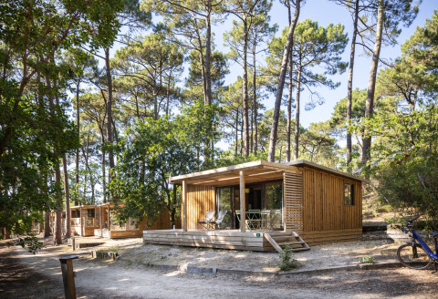 Cabañas de madera rodeadas de pinos en el complejo Huttopia Arcachon, Nouvelle-Aquitaine, Francia.