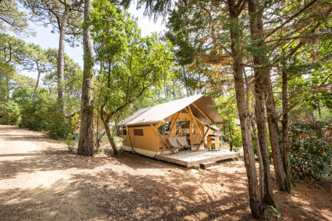 Tienda de lujo entre pinos en Huttopia Arcachon, un parque vacacional en Nouvelle-Aquitaine, Francia.