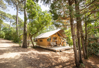 Tenda di lusso tra i pini all’Huttopia Arcachon, parco vacanze in Nouvelle-Aquitaine, Francia.
