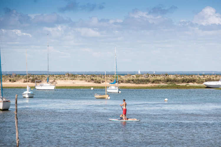 Homme faisant du paddle avec un chien près de bateaux, dans les environs d’Arcachon, Nouvelle-Aquitaine.