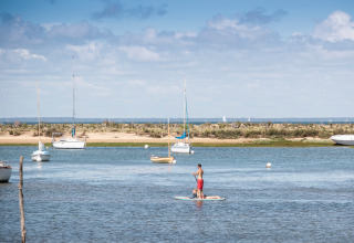 Mand står på paddleboard med hund i nærheden af både, i det naturskønne område omkring Arcachon, Frankrig.