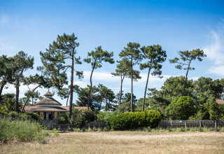 Woning omringd door dennen en weelderige natuur nabij Arcachon, Nouvelle-Aquitaine, Frankrijk, onder een blauwe lucht.