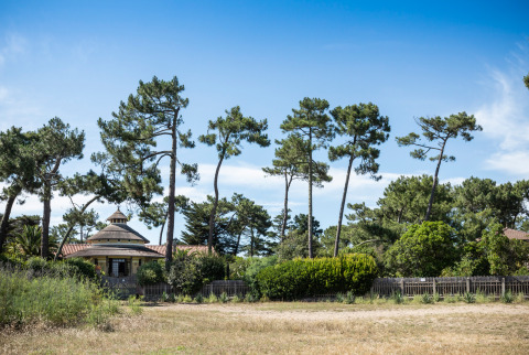 Haus zwischen Kiefern und dichter Vegetation bei Arcachon, Nouvelle-Aquitaine, Frankreich, unter blauem Himmel.