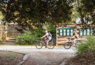 Deux personnes font du vélo sur un sentier ombragé au parc de vacances Huttopia Oléron les Pins.