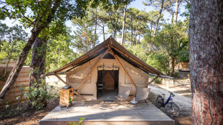 Trapper safari tent with wooden deck, two chairs, and a bicycle, surrounded by trees in sunlight.