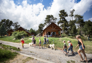 Gezinnen en kinderen wandelen met honden bij chalets in Huttopia Font-Romeu vakantiepark, Occitanië, Frankrijk.
