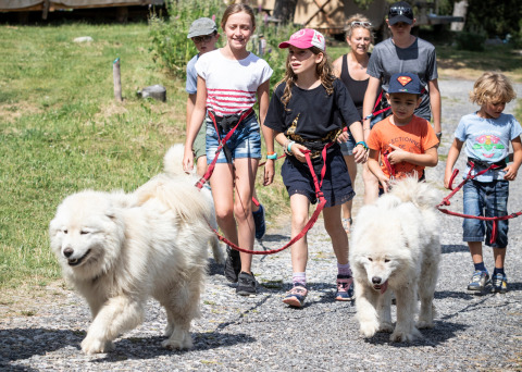 Niños y adultos pasean a dos perros grandes y blancos con correa en Huttopia Font-Romeu, Occitania, Francia.