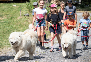 Børn og voksne går med to store hvide hunde i snor på en solrig dag i Huttopia Font-Romeu, Frankrig.
