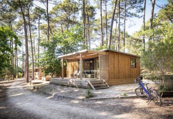 Holzhütte Chalet Portland im Wald, umgeben von Bäumen, Fahrrad vorne, ruhige und entspannte Atmosphäre.