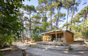 Cabaña Chalet Portland en Huttopia Arcachon, Francia, rodeada de pinos y situada en un entorno forestal tranquilo.