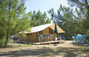 Tienda safari Toile&Bois tent Sweet en Huttopia Oléron les Pins, Francia, rodeada de pinos altos.