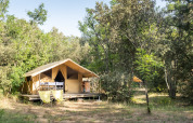 Safari tent Bungalow Classic surrounded by trees at Huttopia Oléron les Pins campsite in France, summer day.