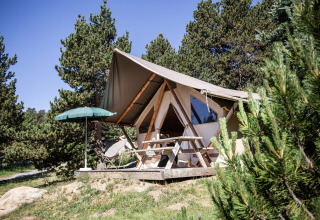 Et safari-telt kaldet Canadian tent ved Huttopia Font-Romeu i Frankrig, omgivet af fyrretræer og natur.