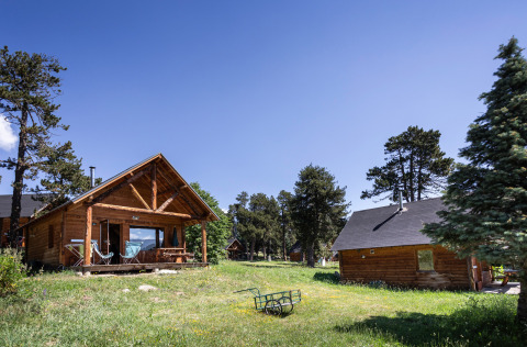 Wooden cabins surrounded by trees and green grass under a clear sky at Chalet 'The Cabin'.