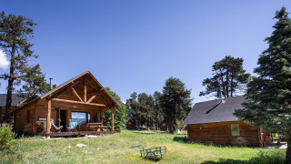 Wooden cabins surrounded by trees and green grass under a clear sky at Chalet 'The Cabin'.