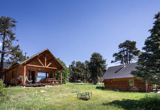 Wooden cabins surrounded by trees and green grass under a clear sky at Chalet 'The Cabin'.