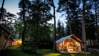Tentes safari Trappeur illuminées dans un camping boisé au crépuscule, entourées de grands arbres.