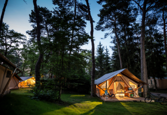 Oplyste Trappeur safari telte i en skovklædt campingplads ved skumring, omgivet af høje træer.