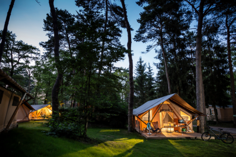 Illuminated Trappeur safari tents on a wooded campsite at dusk, surrounded by tall trees and greenery.