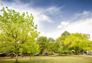 Lush trees and tents at Huttopia Vallée du Lot holiday park in Nouvelle-Aquitaine, France under blue sky