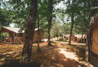 Tende lodge tra gli alberi nell’Huttopia Vallée du Lot, villaggio vacanze in Nuova Aquitania, Francia.