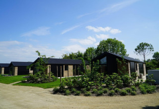 Les lodges Velthorst à Kagerplassen, Pays-Bas, maisons en bois modernes entourées de verdure et ciel bleu.