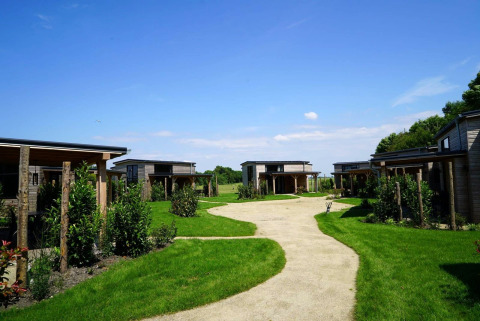 Petites maisons en bois à Kagerplassen, Pays-Bas, entourées de pelouse verte et de ciel bleu.