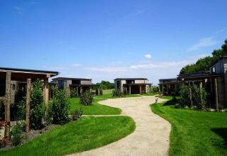 Petites maisons en bois à Kagerplassen, Pays-Bas, entourées de pelouse verte et de ciel bleu.