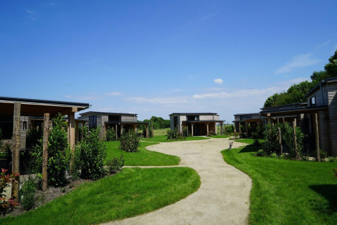Mehrere Tiny Houses aus Holz bei Kagerplassen in den Niederlanden, mit grünem Rasen und blauem Himmel.