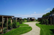 Petites maisons en bois à Kagerplassen, Pays-Bas, entourées de pelouse verte et de ciel bleu.